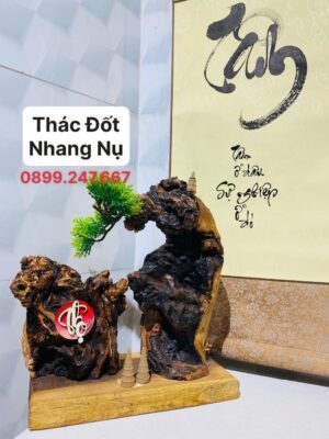 Thác đốt nhang nụ tiểu cảnh